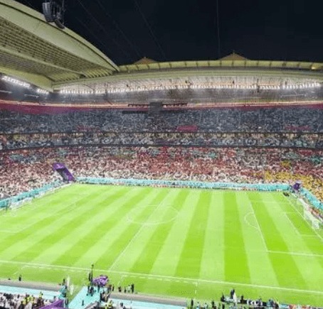 全红婵,岁生日喜获,泳联祝福,AG捕鱼王在线,AG捕鱼官网攻略,AG官网直营捕鱼,AG捕鱼王在线网址