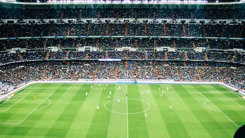 切尔西激情迎战埃弗顿！帕尔默&加纳乔领航，内托复出领衔战旧主！